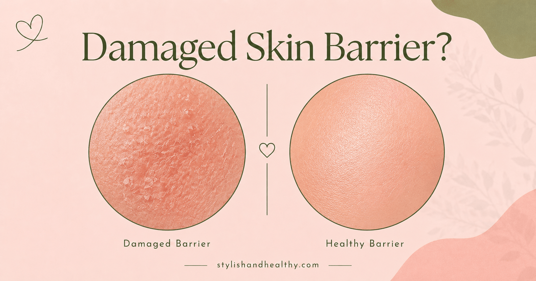 Damaged skin barrier signs and repair routine